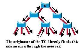 This way, the TCN is flooded very quickly across the whole network. The TC propagation is now a one step process.