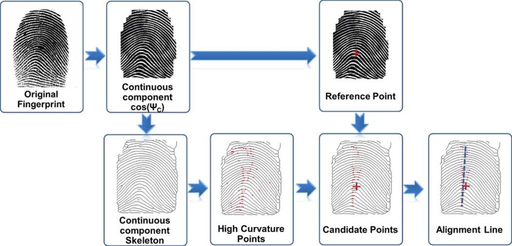 To compute the compatibility between two fingerprint images, their orientation fields and frequency maps are first estimated (see below).