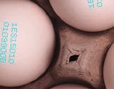 standard applications in the egg industry.