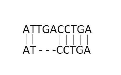 SRA Features: Gaps Existence of indels necessitates inserting or deleting nucleotides while mapping a sequence to a reference genome (gaps).