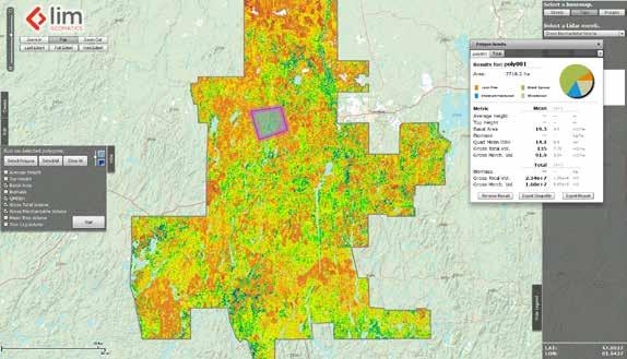 Advanced Forest Resource Inventory Decision Support System (AFRIDS) Lightning