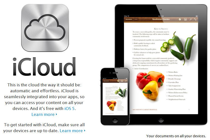 Clients Some examples Apple icloud: