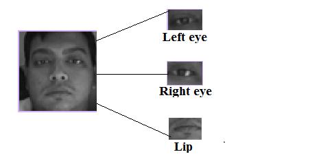 Cropping: Eyes, nose and lip take different shapes for different expressions and significant information is carried by them. So instead of processing the entire face, eyes, nose and lip are processed.