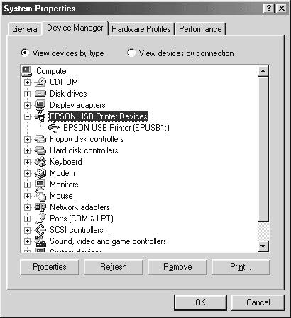 If your drivers are correctly installed, EPSON USB Printer Devices should appear on the Device Manager menu.