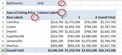 Using Pivot Tables 4. How to filter the data in the pivot table using the filter drop-down arrows: 5.