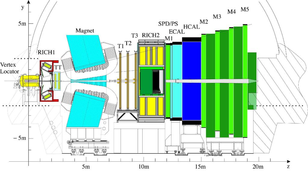 LHCb Straw Detector: