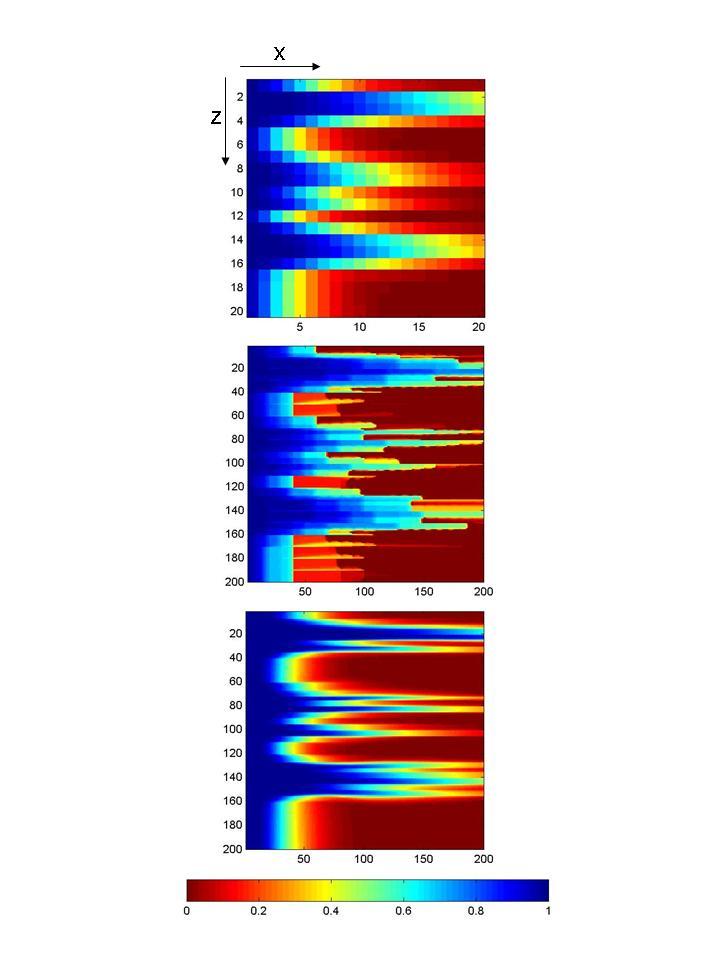 Figure 12: Coarse scale saturation map (top), downscaled