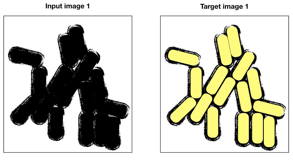 Question 7 (Case Study: semantic segmentation on microscopic images, 5 points) You have been hired by a group of health-care researchers to solve one of their major challenges dealing with cell