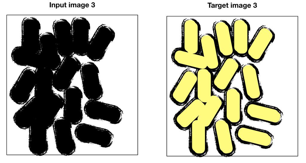 Here are three examples of input images and the corresponding target images: Figure 4: The input images are taken from a microscope.