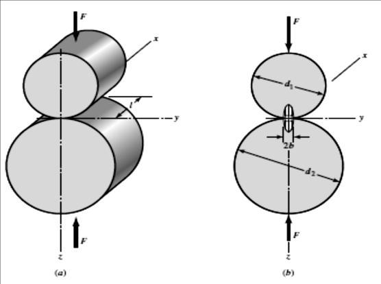 Mr. Anand Kalani and Mrs. Rita Jani Figure 3 (a) Two right circular cylinders held in contact by forces F uniformly distributed along cylinder length l.