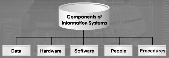 The components of information systems are: data, hardware, software, people and procedures. DATA Data is very important in information systems.