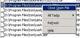 3) Right click on any files that are in the TSM directory and click Close Open File. You can hold shift to select multiple files at once.