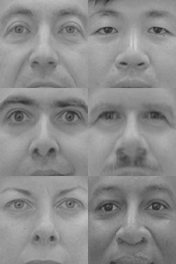 faces. Our method instead exploits prior knowledge containing how facial appearances are changed by blur.