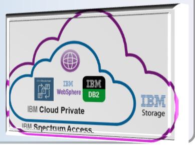 C3, IBM Cloud, IBM Cloud Private - Solutions Multiple