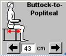 Buttock to Popliteal 49.