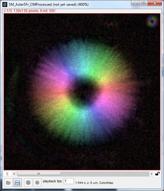 3 P a g e The ColorMap generated image can provide both (Birefringence and the Slow axis) information in a single image.