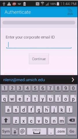 Authentication, Device Details, and Terms of Use 3. Enter your uniqname@med.umich.