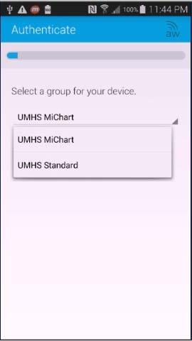 Select either UMHS Standard or UMHS MiChart from the drop-down menu. 1.