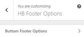 HB Footer Options In this section, we can