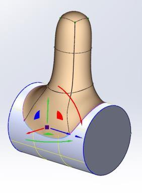 Once constrained, the object can be moved around on the face.