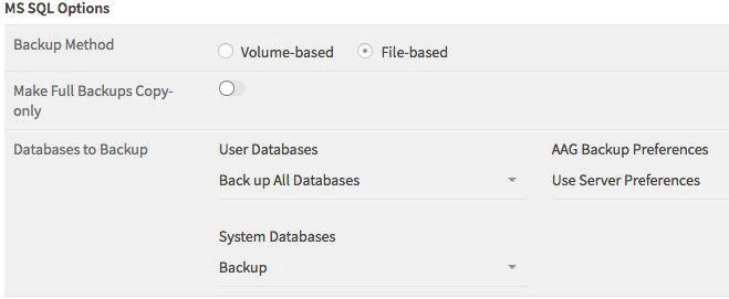 Figure 14 Cohesity Storage Domain Specify MS SQL Backup Settings Click on MS SQL Setting to expand it. The MS SQL Settings provides the following options.