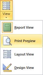 Lesson 12 Creating Basic Reports 4. Click the document window to zoom in. 5. Click the document window again to zoom out. 6.