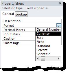 Field names must be in square brackets, eg. [Quantity] * [UnitPrice] 5. Press the [Enter] key. 6. View or Run the query.