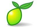 Lime Survey User Guide Version 2.