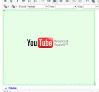 Now you will see a green box with the YouTube logo on your page.