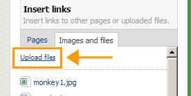 Right above the list of files, you'll see an "Upload files"