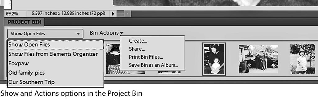 The Project Bin In Full Edit mode, this bin includes, by default, the Layers and the Effects palettes.