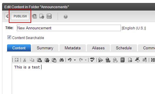 3. Complete the form with a title and content and select publish.