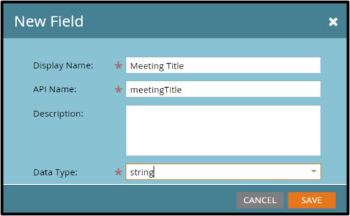 below: Display Name: Meeting Title API Name: (This field will automatically populate