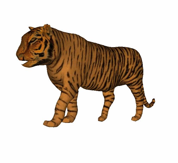 Acknowledgements We would like to thank Zhonggui Chen for his help in video production. The textured tiger model used in Fig.
