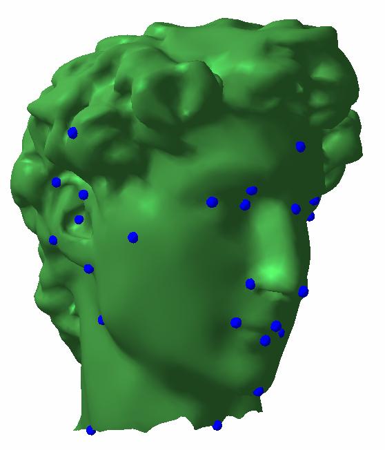 Connectivity Geometry ( a ) ( b ) ( c ) ( d ) ( e) Fig. 2. Manifold parameterization pipeline: mapping the connectivity of mannequin head model (M s) onto David head model (M t).