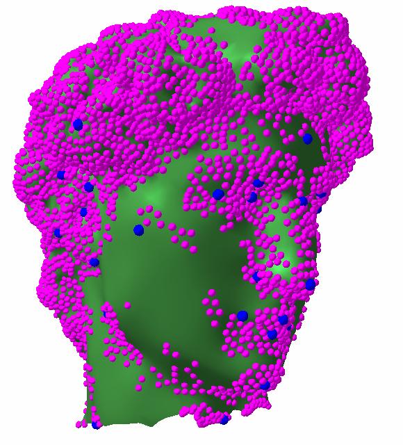 David head mesh; (c) Lower: the feature points detected by mesh saliency approach [17] shown in pink; Upper: the detected feature points are mapped onto (b) shown in green; (d) LS mesh using the