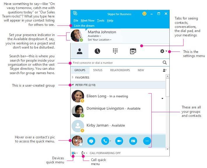 Skype for Business Main Window: Your Skype for Business hub (Start an IM/Call/Video with Contacts) Which Skype should I use?