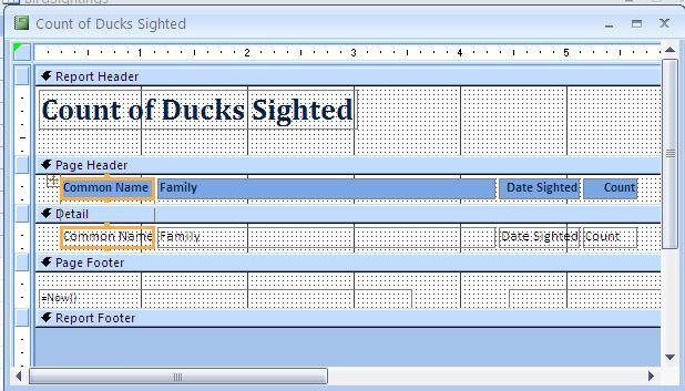 27 Entering the title for the report For the Title of the report, type Count of Ducks Sighted, then click on the radio button next to Modify the report s design You need