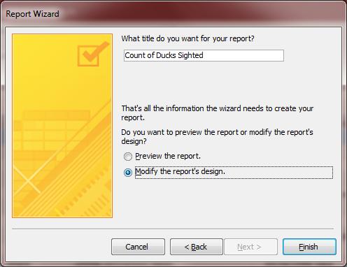 In the next step of the Report Wizard you have to enter the title for the report (Fig. 8.