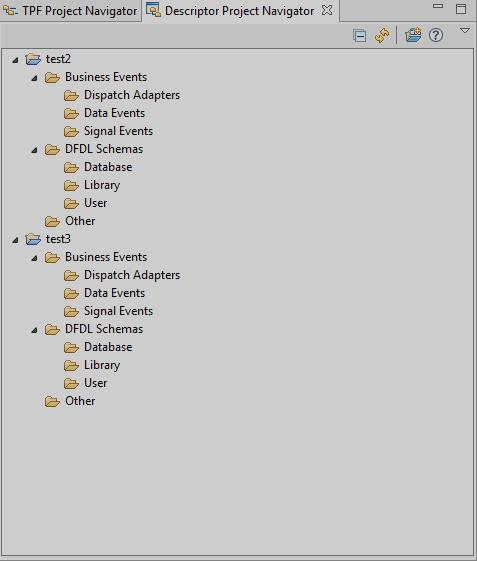 Descriptor Project Navigator A Descriptor project is a collection of virtual folders that organize different types of files!