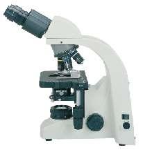 BA300 The microscope stand The BA300 is designed with the user in mind. Careful consideration has been made to the ergonomic design of the microscope.