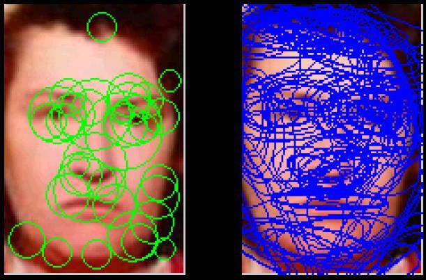 Face Description with Interest Points SIFT detector Detects blobs Limited keypoints CanAff detector Canny edge based Plenty keypoints SIFT (37 keypoints) CanAff