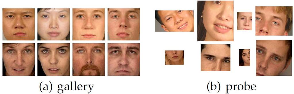 Experiments with Partial Faces FRGCv2.