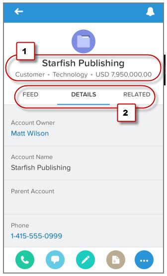 Salesforce1 Basics Notifications Depending on the object, the record view may include the record s feed page, the record detail page, and the related information page.