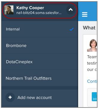 Salesforce1 Basics Access Communities from Salesforce1 In-app notifications are alerts that keep you aware of activity while you re using Salesforce1.