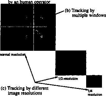 Visual functions of tracking routine Our visual tracking routine has the following visual functions. (a) An initial image specified Figure 6: Visual functions of tracking routine 1.