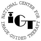 Image Guided Therapy NIH U41RR019703 NIH NIAAA Grant