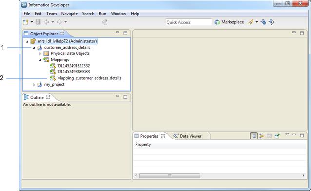 The following image displays the Object Explorer view in the Developer tool.