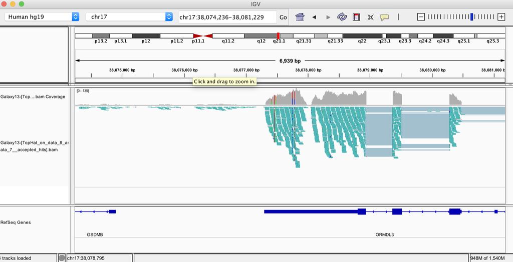 You may also want to view your results in the stand-alone IGV browser available from: https://software.broadinstitute.