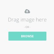 Drag and drop your image file into the modal or click the Browse button to find your file. Click the Insert button to insert your image into the content block s background.
